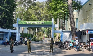 Chủ tịch TPHCM chỉ đạo rà soát toàn diện cây xanh sau vụ 2 người bị cây đè chết