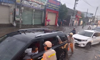 Cây xanh ngã đổ, ô tô ngập nước trong cơn mưa lớn ở TPHCM 