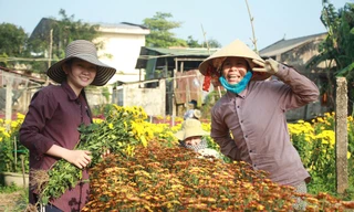 Vào vựa hoa lớn nhất Quảng Ngãi ngày cận Tết