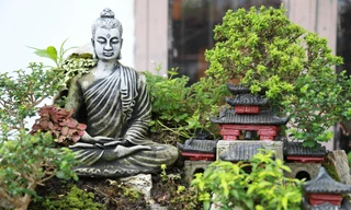Tạo vườn tiểu cảnh tượng Phật trên sân thượng ngôi nhà ở Sài Gòn