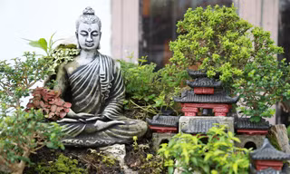 Tạo vườn tiểu cảnh tượng Phật trên sân thượng ngôi nhà ở Sài Gòn
