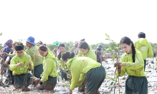 Bạn trẻ chung tay trồng hàng nghìn cây xanh vùng ngập mặn