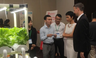 Hơn 1.900 dự án khởi nghiệp trong và ngoài nước tranh tài tại Startup Wheel 2020