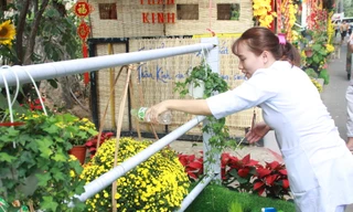 Đẹp mắt đường hoa xuân do các y, bác sỹ dày công chuẩn bị 