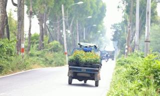 Tránh phát triển đô thị ngoại thành TPHCM theo 'vết dầu loang', tự phát
