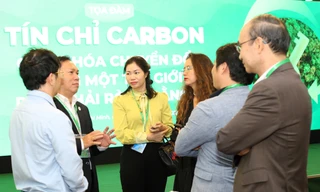 Hạch toán carbon để tham gia sân chơi toàn cầu 