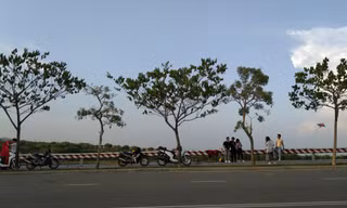 Sợ cảnh chen lấn, nhiều người dân TPHCM nghỉ lễ nhẹ nhàng ở vùng ven
