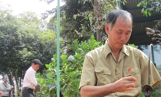 Một tay vẫn chơi đàn bầu điêu luyện