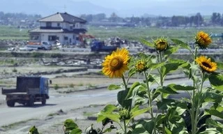 Đông bắc Nhật Bản lại rung chuyển bởi động đất