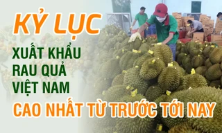 Kỷ lục xuất khẩu rau quả Việt Nam cao nhất từ trước tới nay