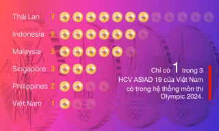 Thể thao Việt Nam so với các nước khu vực Đông Nam Á tại Asiad 19