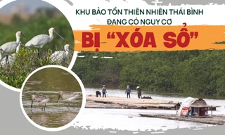 Chi tiết khu bảo tồn thiên nhiên ở Thái Bình đang có nguy cơ bị 'xóa sổ'