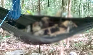 Tá hoả phát hiện 2 thi thể chỉ còn xương trên võng trong rừng