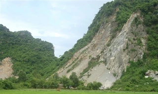 Cục Kiểm lâm yêu cầu kiểm tra, báo cáo trước ngày 30-9