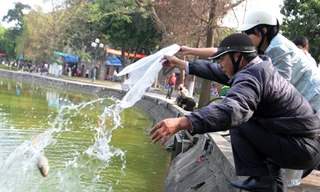 Ông Công – ông Táo ghét túi nylon