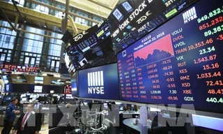 TTCK thế giới đã rơi vào cơn hoảng loạn khiến TTCK trong nước cũng phản ứng mạnh không kém 