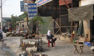 Chọn mua thịt gà vịt ngon, an toàn cho dịp Tết