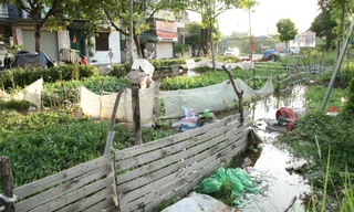 Hình ảnh hoang tàn trong công viên bị 'bỏ quên' tại Hà Nội