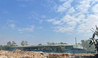 Dự án Cụm công nghiệp Đình Xuyên có diện tích 7,81 ha với tổng mức đầu tư 227 tỷ đồng