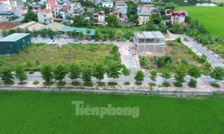 Cổ phần hóa chậm do tắc ở khâu phê duyệt phương án sử dụng đất