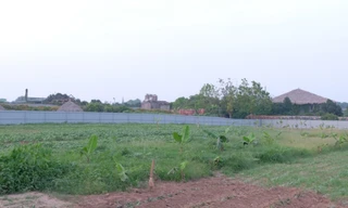 Hơn 186.000 m2 đất nông nghiệp công ích ở huyện Phúc Thọ sẽ được đấu giá quyền cho thuê với giá khởi điểm 675 đồng/m2. 