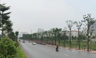 Tuyến đường trục kinh tế phía Nam là điểm cuối của tuyến đường Đỗ Xá- Quan Sơn