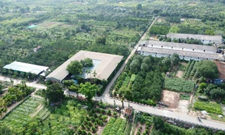 Hà Nội: Quận Hà Đông 'tổng rà soát' vi phạm trên đất nông nghiệp, đất công ích