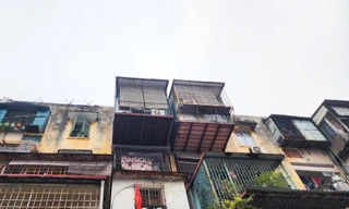 Nhiều chuồng cọp nằm "chênh vênh" giữa không trung do không có điểm tựa ở dưới. 