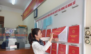 Ủy quyền cho Giám đốc Sở Nội vụ được quyết định vị trí việc làm