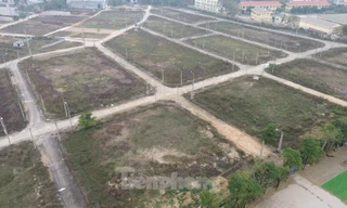 Hà Nội: Khu đất dịch vụ bỏ hoang, nhiều chủ hộ đã chết nhưng đất vẫn chưa giao