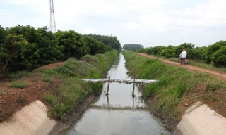 Phê duyệt dự án đảm bảo thoát nước cho 650 ha ở Thạch Thất