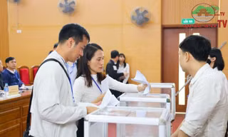 Hà Nội: Đấu giá thành công 35 thửa đất tại huyện ngoại thành với mức cao nhất 119 triệu đồng/m2