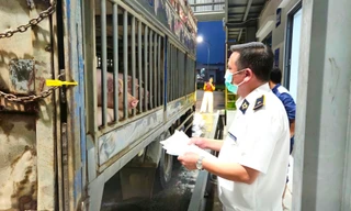 Hà Nội: Liên ngành đột xuất kiểm tra Công ty C.P trong đêm