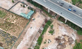 Chủ tịch Hà Nội yêu cầu xử lý nghiêm các đối tượng san lấp đất nông nghiệp, xây dựng trái phép tại bãi bồi sông Hồng