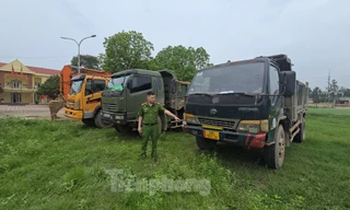 Hà Nội: Tạm giữ 'đoàn' xe tải và máy xúc thực hiện phi vụ hủy hoại tài sản, trộm đất quy mô lớn ở Ba Vì