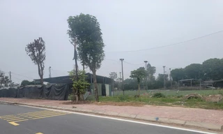 Hà Nội: Chụp ảnh sân bóng xây dựng trái phép, nữ nhân viên đê điều bị hành hung