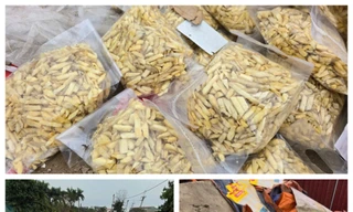 Tin mới vụ bãi rác bánh kẹo khổng lồ tại La Phù 