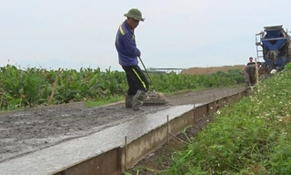 Bê tông hóa đường nội đồng tại xã Minh Quang (huyện Ba Vì) tạo điều kiện thuận lợi cho sản xuất nông nghiệp
