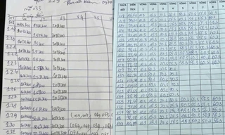 Hà Nội: Trả giá cao rồi dừng lại, hủy phiên đấu giá 22 lô đất tại huyện Thanh Oai