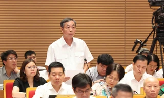 Hà Nội: Lợn chưa đóng dấu kiểm dịch vẫn đưa ra thị trường