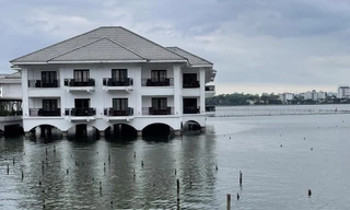 Bãi cọc tre trên hồ Tây thuộc quản lý của khách sạn Thắng Lợi