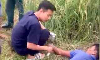 Các bác sĩ cấp cứu cho bệnh nhân tại cánh đồng