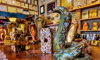 Rắn uốn lượn quanh nền đá ong