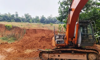 UBND TP. Hà Nội yêu cầu UBND các huyện, thị xã khẩn trương rà soát hiện trạng rừng và đất lâm nghiệp