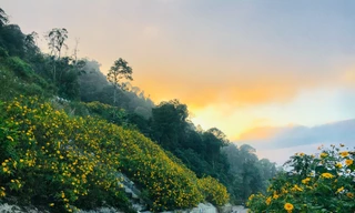 Cải tạo, nâng cấp đường từ Tỉnh lộ 414 đi Vườn quốc gia Ba Vì