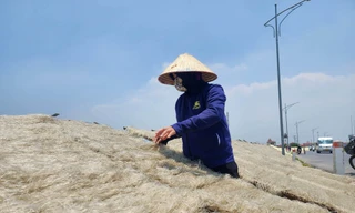 Người lao động ở Minh Khai đang phơi miến dong giữa trưa nắng