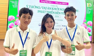 Độc đáo băng gạc y tế làm từ lục bình