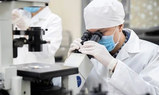 Việt Nam có 9 người lọt nhóm 10.000 nhà khoa học ảnh hưởng nhất thế giới