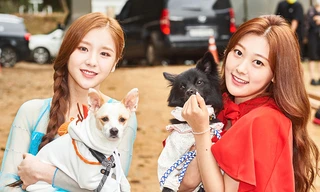 Xuất hiện dàn “boss cưng” sang chảnh của hội idol khi tham gia Đại hội thể thao K-Pop 2020