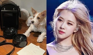 “Sen” là Đại sứ Saint Laurent, "boss" nhà Rosé nhận quà Giáng Sinh trăm triệu